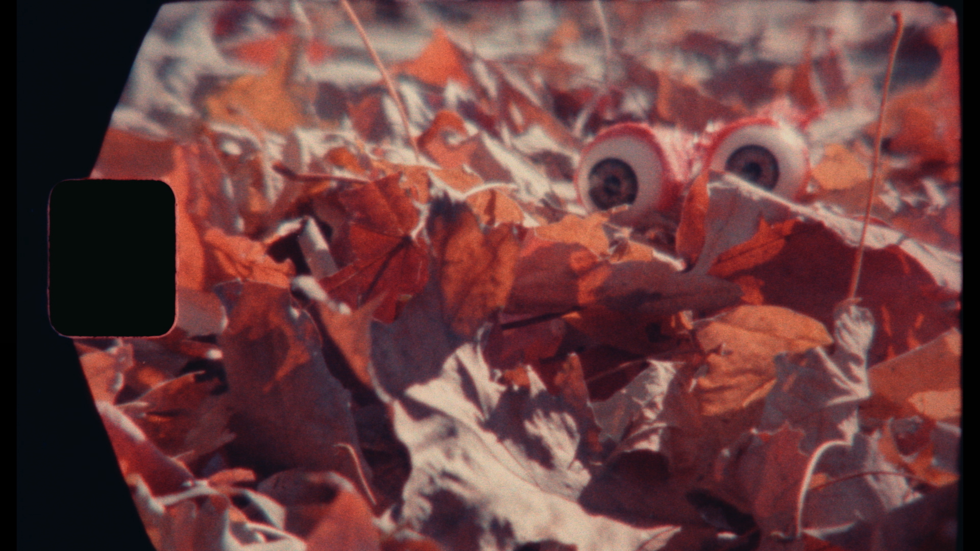 Leaf Peeper Vito Rowlands Still 7