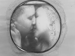 through the bushes and trees2